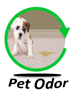 Pet Odour Removal
