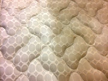 Mattress Cleaning